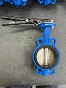 Factory Direct Handheld Clamp Butterfly Valve Manual DN50 DN600 For Gas Oil Water
