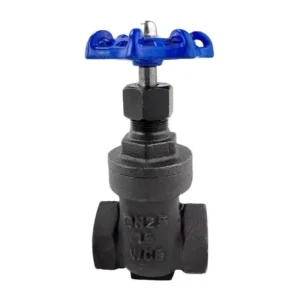 Factory Direct Industrial Grade Carbon Steel Female Gate Valve Threaded Gate Valve Manual Valve