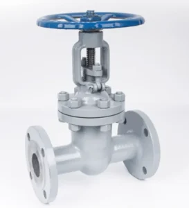 Factory Direct Manual Flange Marine Gate Valve Normal Temperature Media Gate Valve for Water Z41W 2″-14″ Port Size