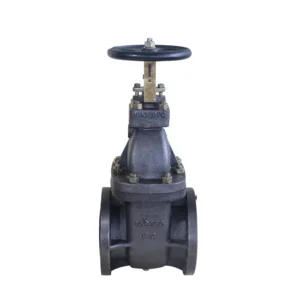 Factory Direct Sales F7364 Flange 10K Gate Valve JIS Daily Standard Marine Gate Valve Manual Cast Iron Marine Gate Valve