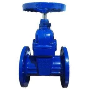 Factory Direct Sales High Quality Manual Water Soft Sealed Industrial Gate Valve DN50 DN1200 1 Year Warranty Customizable