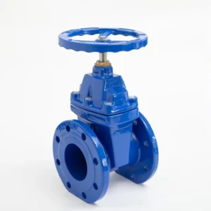 Factory Manufacture Cast Iron Flanged Non Rising Stem Soft Seal Gate Valve Flange Gate Valve Ductile Iron Gate Valve