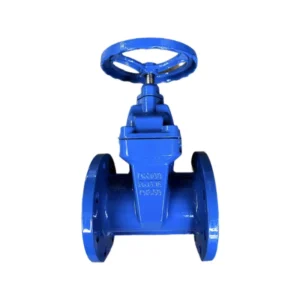 Factory Manufacture Cast Iron Flanged Non Rising Stem Soft Seal Manual Water Gate Valve