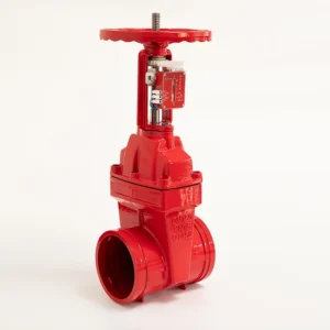 Factory Manufacture Gate Valve Ductile Iron Grooved Rising Stem Gate Valve