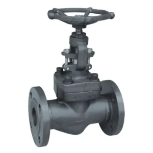 Factory Price Customized A105 Forged Steel Globe Valve
