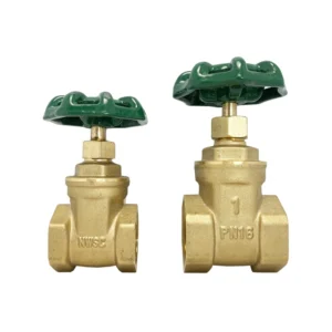 Fire Protection System Fire Sprinkler Brass Globe Gate Valve