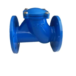 Flange Ball Type Check Valve Ductile Iron Material Single Directional Water DN50-DN350 Hydraulic