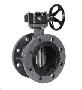 Flange Butterfly Valve with Worm Gear Flange Ductile Iron CF8 Stainless Steel EPDM Seal Factory Direct Price