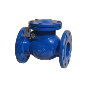 Flange Check Valve Cast Iron Swing Check Valve API