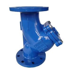 Flange Ductile Iron Y Strainer Filter for Water Supply System
