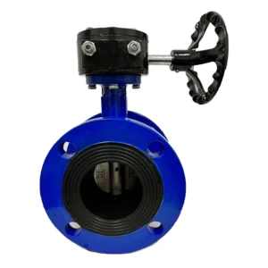 Flange Type Butterfly Valve Gear Operated for Water Treatment