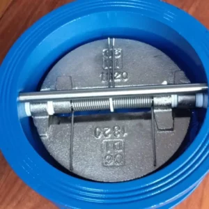 Flange Type Check Valve ASTM A395 Check Valve Wafer Check Valve
