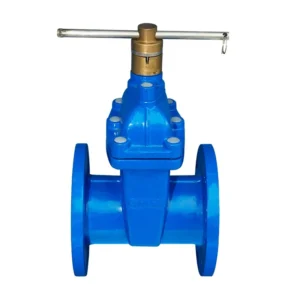 Flanged Gate Valve 2 Inch Ductile Cast Iron Manual High Temperature Gate Valves