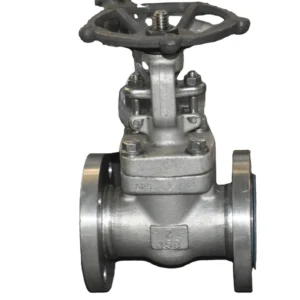 Flanged Manual Cast Steel Globe Valve