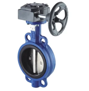 For Manual Gear Operated Ductile Iron Pn16 Dn100 Wafer Butterfly Valve SS304 SS16 EPDM NBR Seal Water