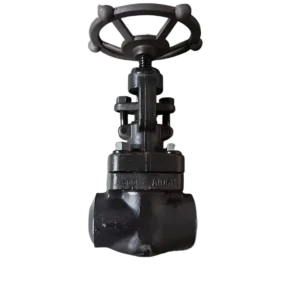 Forged 2 Inch Cast Steel Globe Valve Manual for Socket and Butt Welding 600-2000 Grade Shutoff Valves