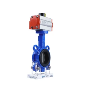 Forged Butterfly Valves DN300 DN50 DN25 Pneumatic Screw Control for Plastic Treatment Filtration Acid Water Media