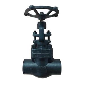 Forged Globe Valve A105N 1/2″ 800# 1500# 2500# 4500# High Pressure Carbon Steel Shut Off Valve Globe Valve