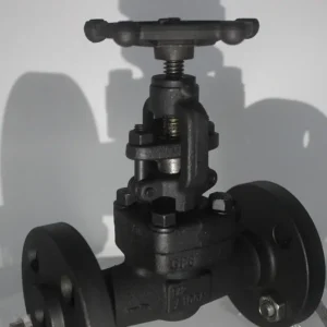 Forged Manual Control Globe Valve J41H 300LB Flange DN25 for Chemical Industry API6D Pipeline Globe Valve