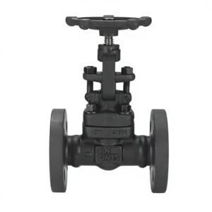 Forged Steel Flange Globe and Gate Valve J41H 16C High Temperature High Pressure Steam Manual A105 DN15 50