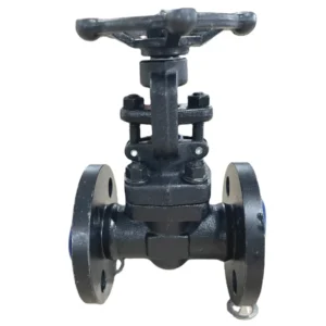 Forged Steel Flanged Globe Valve A105 Manual Stop Valve for Water Applications