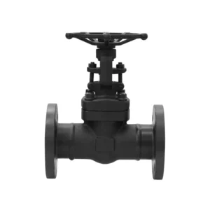 Forged Steel Globe Valve Union Bonnet Design Easy Maintenance Inline Repair Without Removing Body
