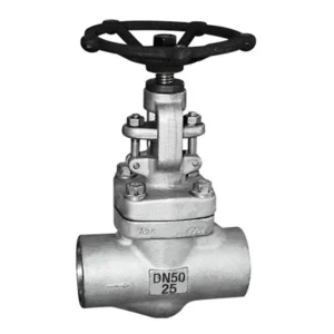 Forged Steel Globe Valves Flanged NPT or BW or SW End 800LB 1500LB