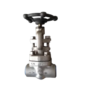 Forged Steel Material Sleeve Welding Threaded Joint NPT 800LB High Temperature Oil and Gas Shut-off Valve F304