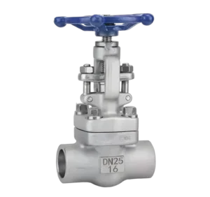 Forged Steel Material Threaded Joint NPT 800LB Sleeve Welding High Temperature Oil and Gas Shut-off Valve F304