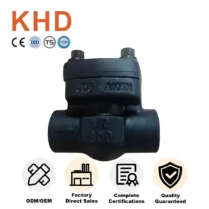 Forged Steel Swing Check Valve 1/2 Inch A105 Class 800 Threaded Ends High-Temperature 425 Degree Steam Resistance