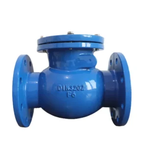 GGG50 Material F6 Rotary Check Valve DN50-DN300 Bronze Sealing German Standard DIN3202 Water Media 1 Year Warranty