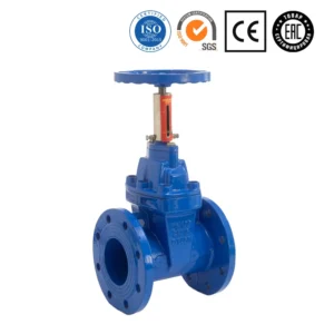 GGG50 PN10 PN16 Flange Type Non Rising Stem Soft Sealing Ductile Cast Iron Sluice Gate Valve 2 Inch With Scale