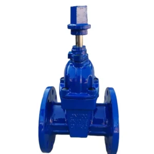GGG50 Soft Seal Manual Gate Valve with Double Flange for Drinking Water Systems