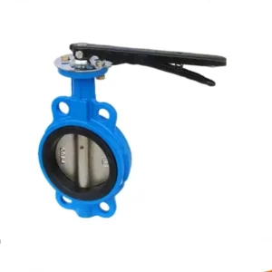 GGG50 Wafer Butterfly Valve DN50 DN600 PN10 PN16 Resilient Seated Concentric Valve for Water Works & Irrigation