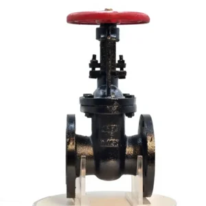 GOST Cast Iron Flanged OS&Y Manual Gate Valve Bronze EPDM NBR Sealing Normal Medium Temp for Water