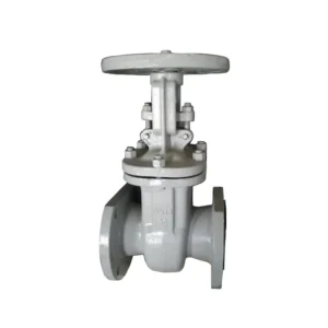 GOST Cast Steel Hard Seal Gate Valve Russian Standards 12820 Flange End Rising Metal Seat Gate Valve