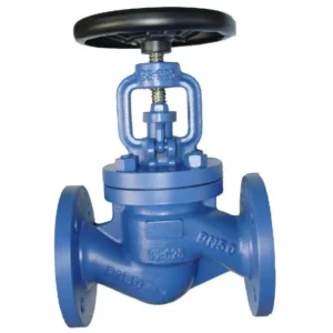 GS C25 DIN PN16 PN25 Air Manual Steam Globe Valve