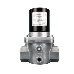 Gas Proportional Solenoid Control Valve Shutoff Solenoid Valve OEM for Industrial Furnace Burner