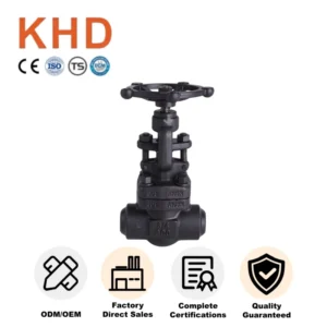 Gate Structure Manual Valve General Application A105 DN32 Socket Weld Forged Steel Gate Valve