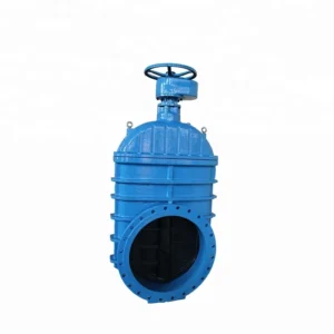 Gate Valve DN40-DN800 Standard Rubber Seat Ggg50 Large