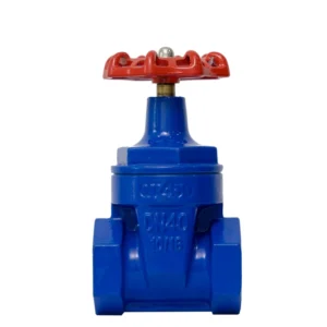 Gate Valve Threaded Soft Gate Valve DN40 50 65 80 100 125 150