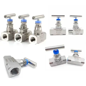 Gauge Needle Valve Stainless Steel304 316 316L WCB A105 Double Ferrule NPT BSP ANSI API Customizable Size Angle type