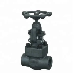 Globe Valve 800 Class High Pressure Forged Steel Standard Water Flange Ends Manual Medium Temperature SS304 Casting