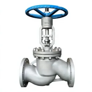 Globe Valve Assortment for Industrial Home Plumbing Multiple Connection Sizes Water Pipe Systems Versatile Specification