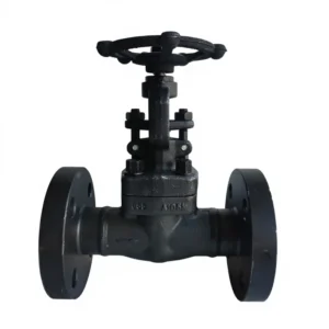 Globe Valve J41H-25C DN25 Forged Steel Rising Stem High Temperature Manual Petrochemical Use for Highly Corrosive