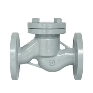 H41H-16C H41H-25C DN50 Cast Steel Flange Lift Check Valve High Temperature Steam One Way Valve No Sealing Material Standard