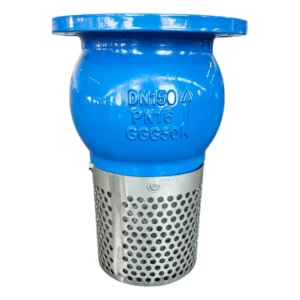 H42X 16Q Flange Foot Valve Cast Iron DN50-DN400 for Water/Gas/Oil with Check Filter and Water Pump Suction Filter