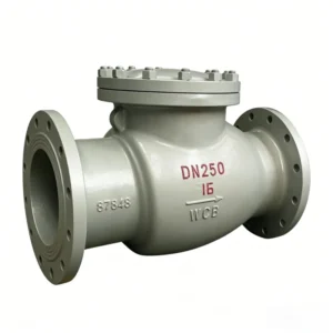 H44W 16 Flanged Swing Check Valve DN250 Ductile Iron One way Non return Valve for Industrial Water Oil Gas Pipeline System