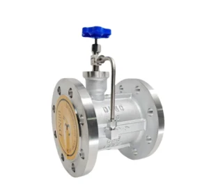 HH49X-16P Heavy Duty 304 Stainless Steel Flanged Butterfly Check Valve DN50 Low Resistance Slow Closing Anti Water Hammer Valve