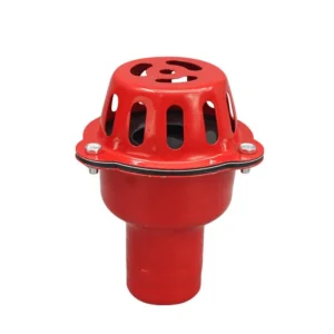 Heavy Duty DN50 Cast Iron Check Valve Strainer for Agricultural Irrigation Suction Hose